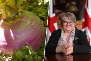 Nema paradajza i paprike? Neka jedu repu, poručuje britanska ministarka