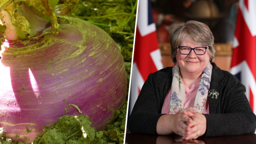 Nema paradajza i paprike? Neka jedu repu, poručuje britanska ministarka