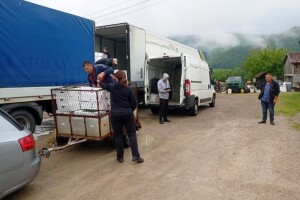 Počela podjela rasada krastavaca kornišona - 100 proizvođača uzgajat će ih na 60 dunuma
