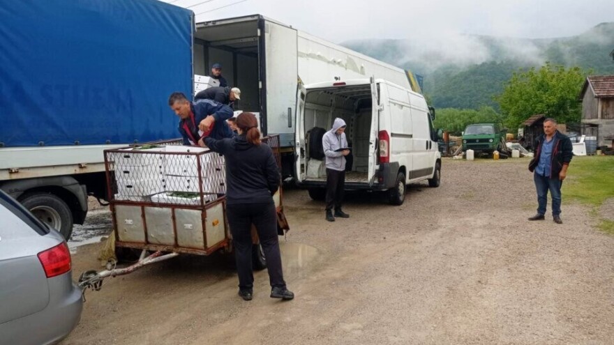 Počela podjela rasada krastavaca kornišona - 100 proizvođača uzgajat će ih na 60 dunuma