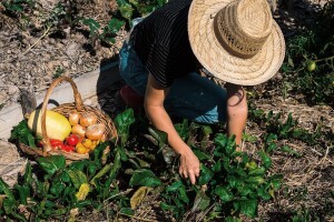 Konferencija "Naša dobra hrana" na Agronomskom fakultetu i uz prijenos uživo