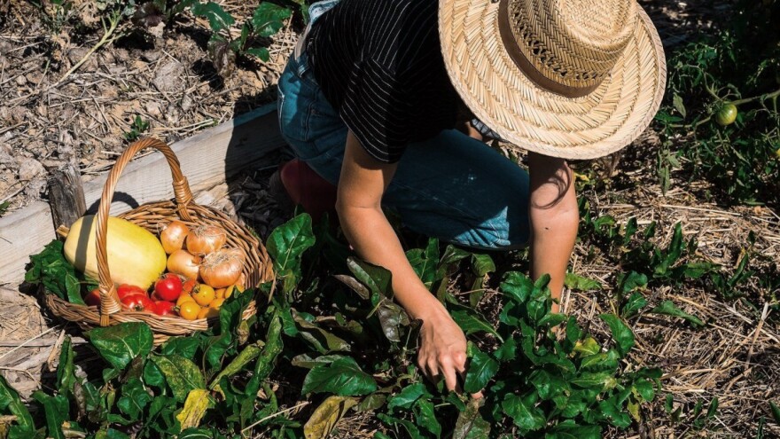 Konferencija "Naša dobra hrana" na Agronomskom fakultetu i uz prijenos uživo