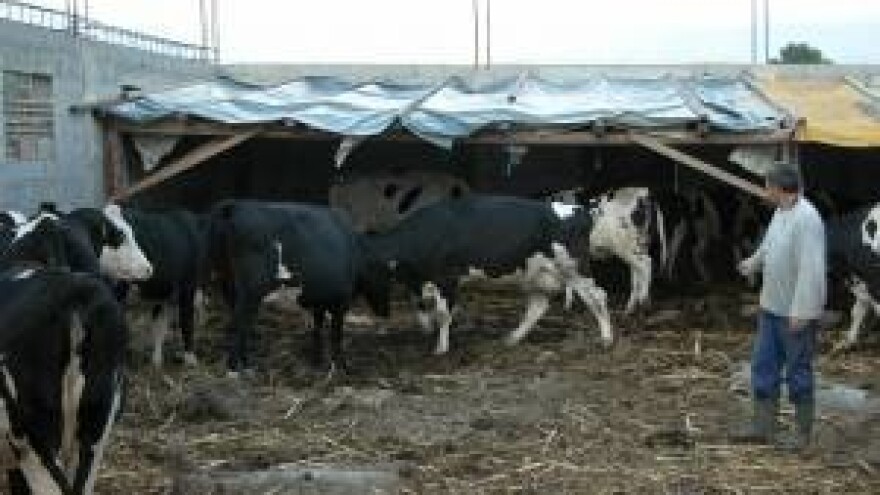 Utjecaj novog Zakona o PDV-u na OPG-ove