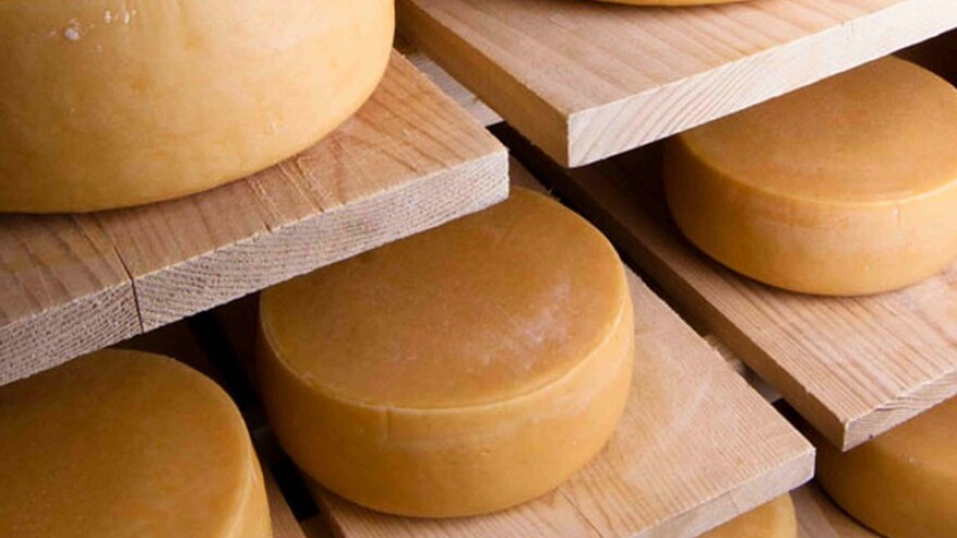 Proizvodnja hrane - budućnost Lećevice