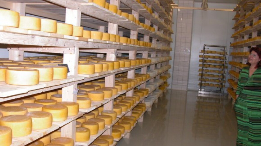 Jača proizvodnja domaćeg ovčijeg i kozijeg sira