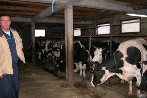OPG Bandalo - farma mljekarstva