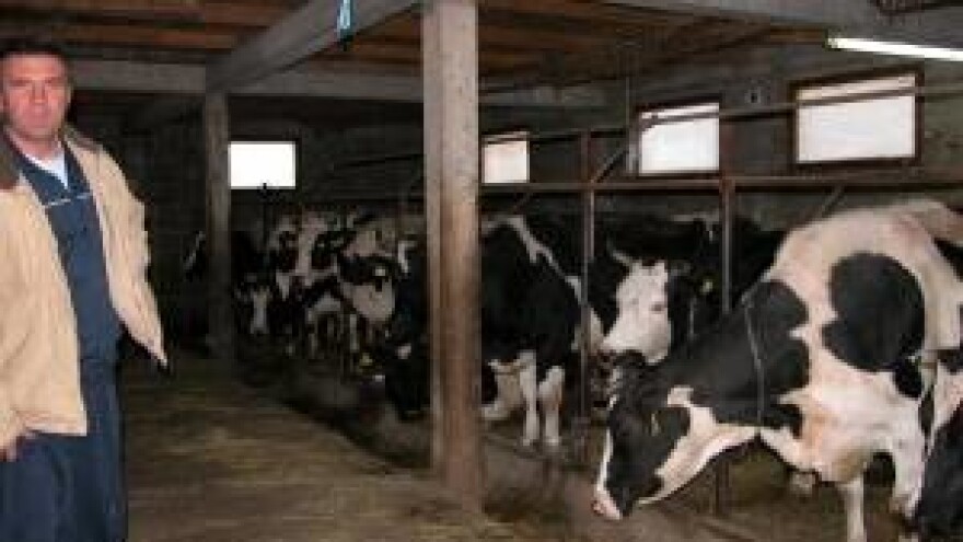 OPG Bandalo - farma mljekarstva