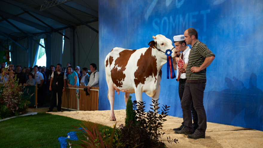 Sommet de l'Elevage: Tri dana, 2.000 grla visokog kvaliteta, 1.500 izlagača