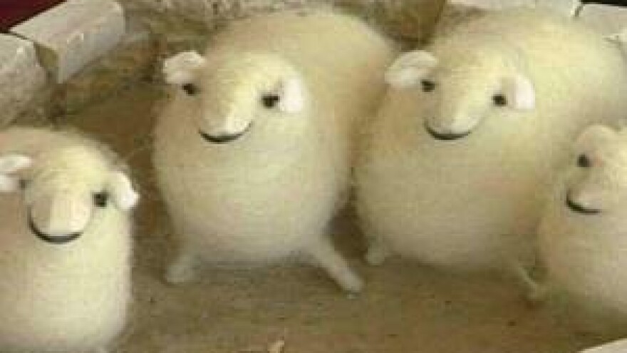Eko suvenir ovčica Delma osvaja tržište