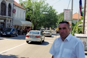 Čileanska araukarija za vrt i okućnicu