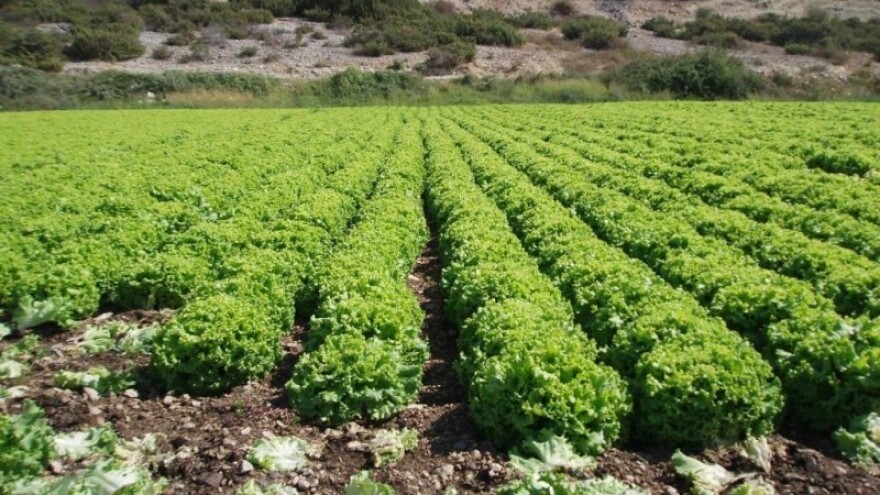 Gdje su otkupljivači poljoprivrednih proizvoda?