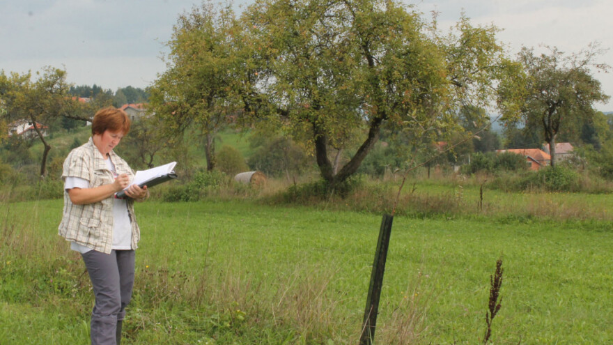 Građa, svojstva i analize voćnih plodova