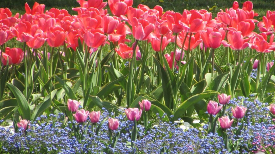 Top 5 agrobiznis ideja ili: "Uvijek gledaj da radiš nešto što ne radi niko drugi"