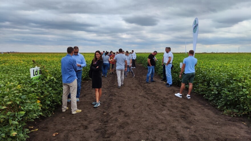 Ne-GMO soja: Nove sorte visokog prinosa i otpornosti na srpskim njivama