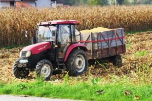 Na Produktnoj berzi najveća tražnja za kukuruzom - 34,7 din/kg