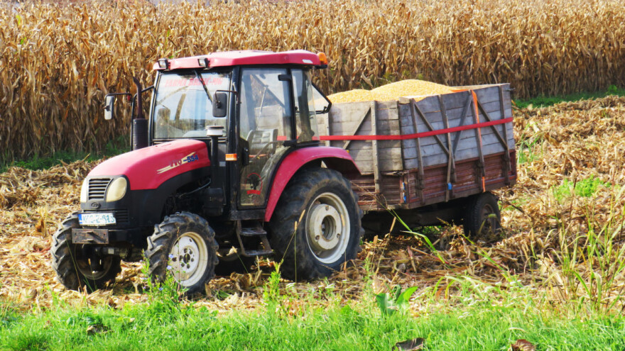 Na Produktnoj berzi najveća tražnja za kukuruzom - 34,7 din/kg