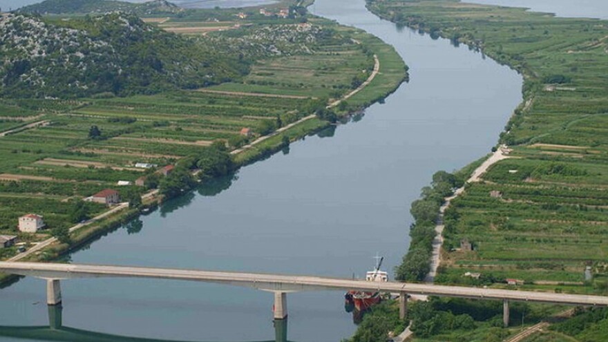 Kako graditi budućnost mandarine?