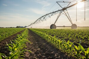 10 projekata navodnjavanja sa papira na polja!