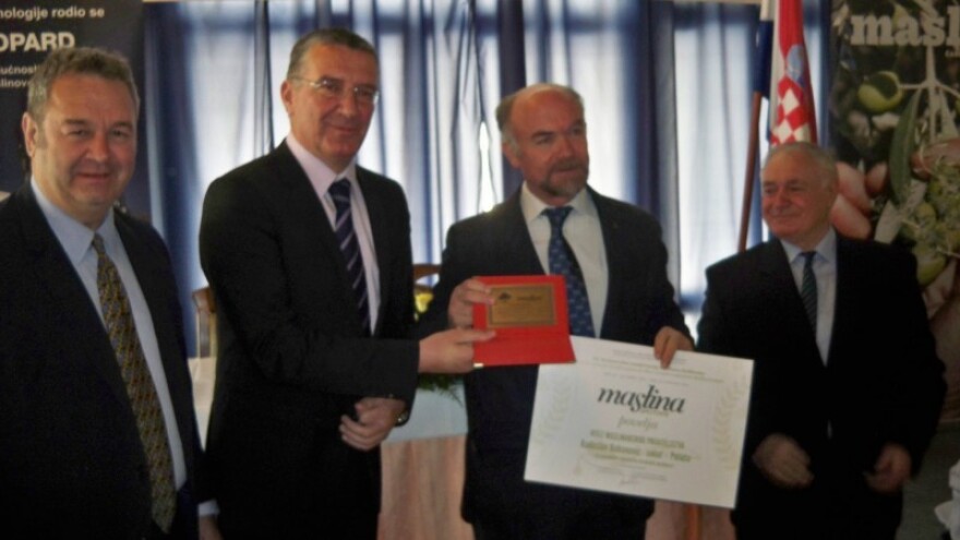 Maslinici Ravnih kotara iznikli iz kamena!