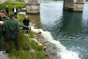 Tone ribe ubačene u Drinu kod višegradske ćuprije: Mladica ostaje kraljica