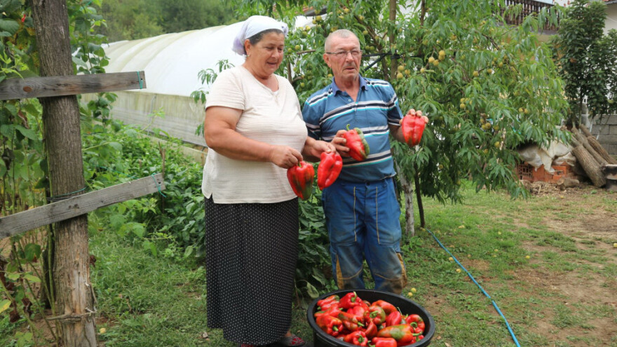 Sandžići sve prodaju do pred kraj jeseni - sve na kućnom pragu