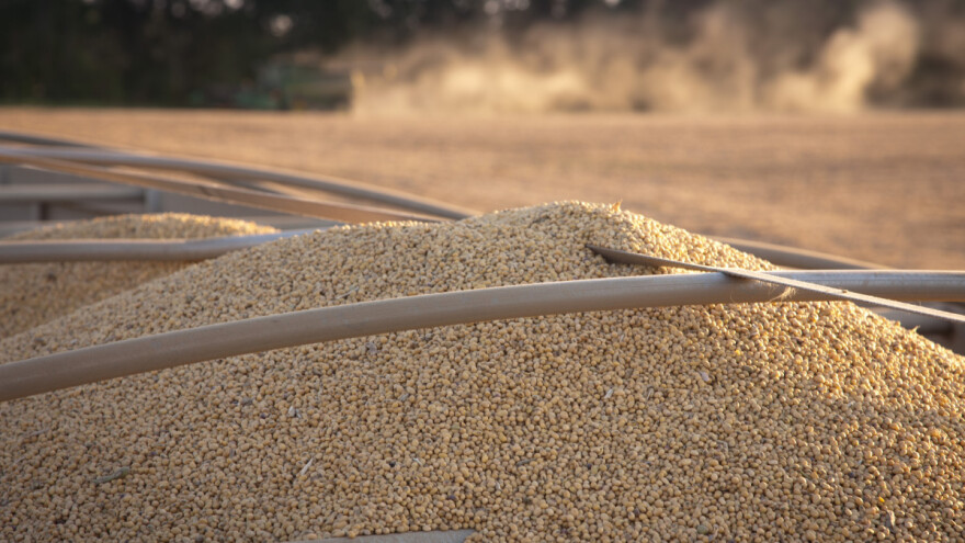 Produžili rok za zasnivanje i proširenje proizvodnje soje