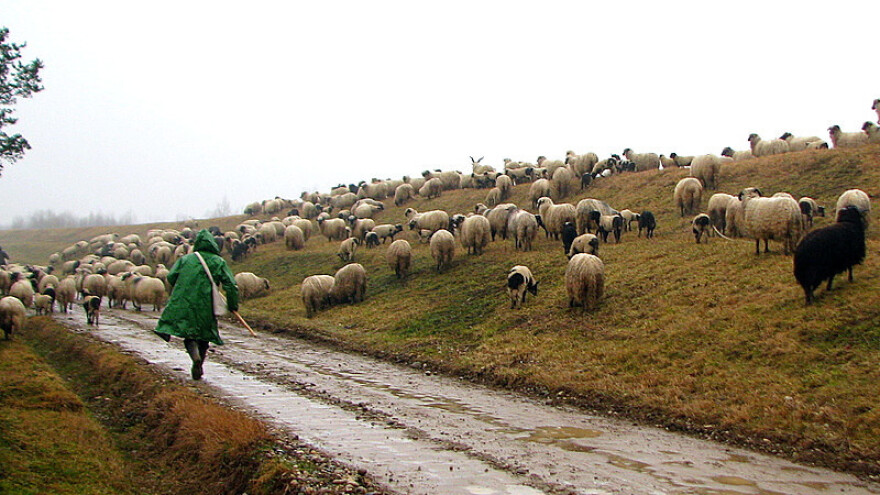 Oblačno, kiša, snijeg - jesen u punom zamahu