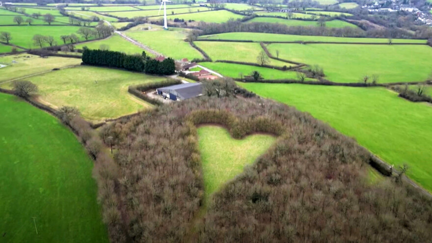 Srce u šumi: Posadio 6.000 hrastova u spomen na suprugu