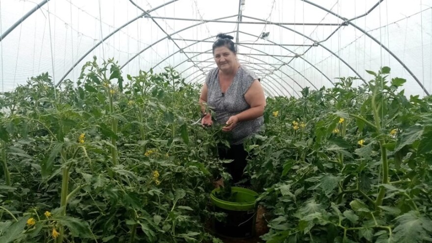 Hatidža Ćatić: Uzgaja i prerađuje voće i povrće bez hemikalija, a gaji i ruže