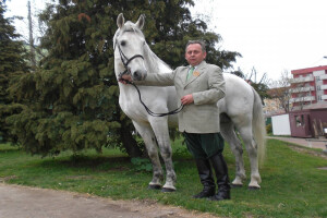 Njegovo veličanstvo Konj
