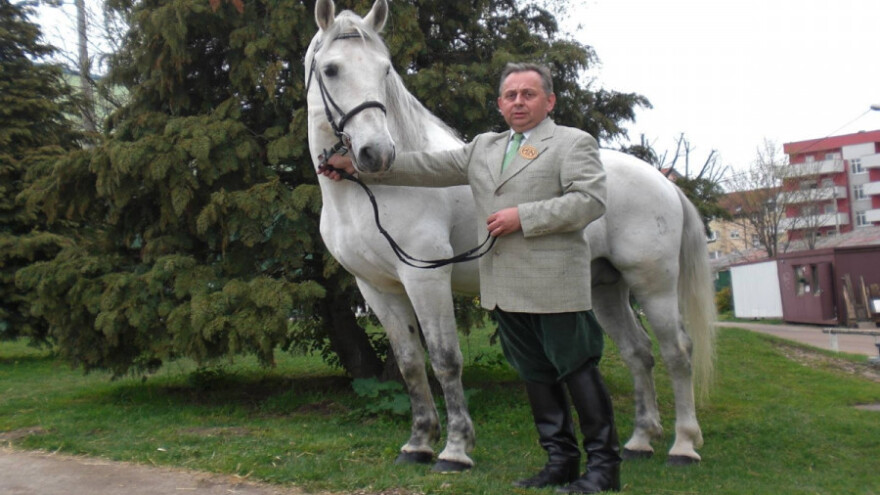 Njegovo veličanstvo Konj