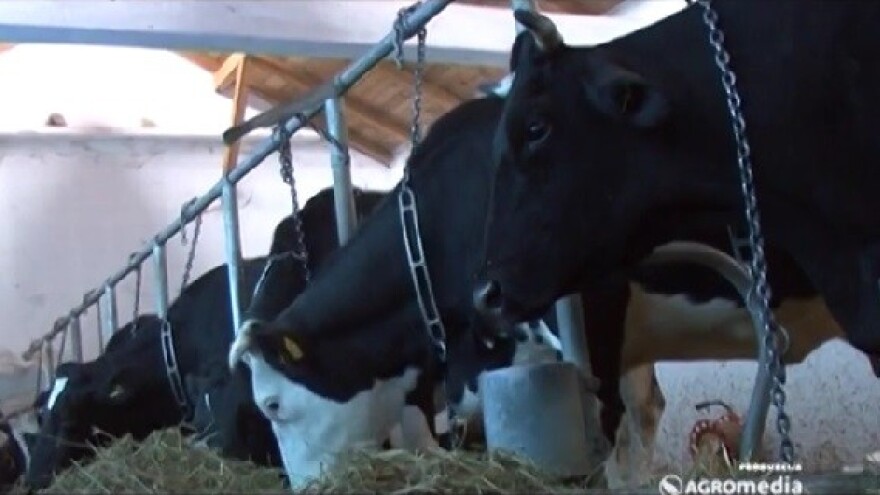 Dobar kvalitet komponenti stočne hrane