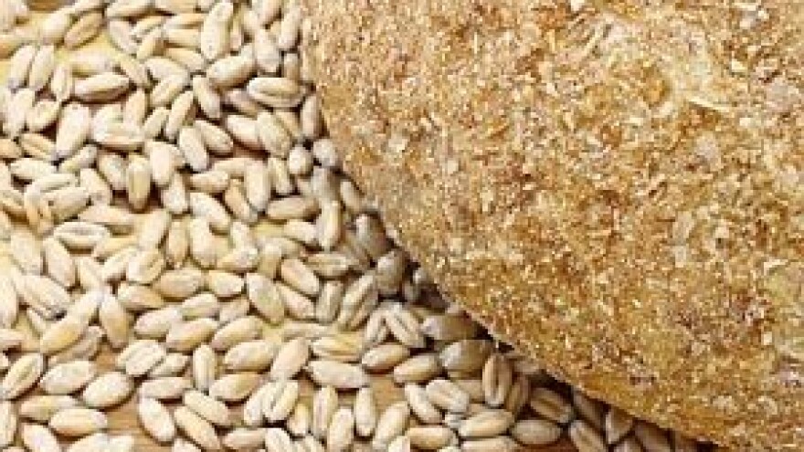 Cijena pšenice mogla bi opravdano pasti