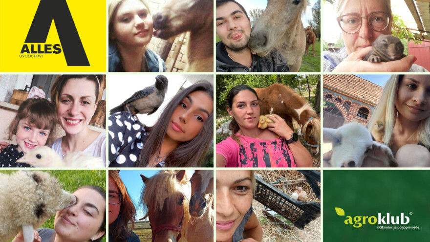 Imamo 10 finalista najboljih selfija s mladuncima životinja!