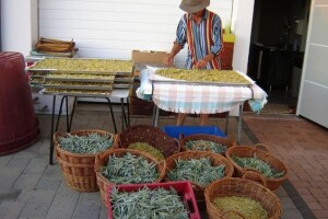 100 godina eko proizvodnje obitelji Kaštelan
