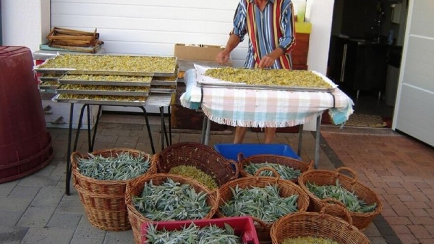 100 godina eko proizvodnje obitelji Kaštelan