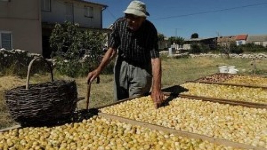 Kako prodati 80.000 tona mandarina?
