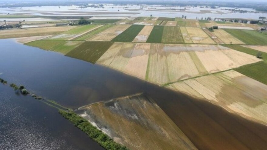 Vlada će sanirati štete u poljoprivredi