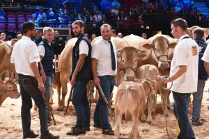 Otkazan i "Sommet de l'Elevage" - vodeći sajam stočarstva u Evropi