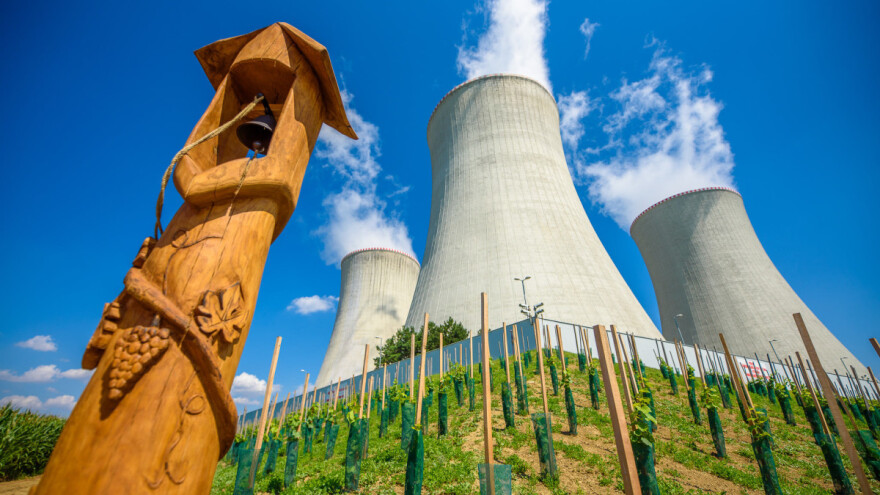 Berba grožđa u češkoj nuklearki Dukovani - biće i vina