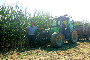 Farmer Serdarević: Obećano nisu ispunili, plaćaju Česima junice, a nas guše