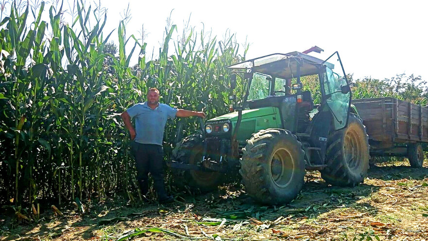 Farmer Serdarević: Obećano nisu ispunili, plaćaju Česima junice, a nas guše