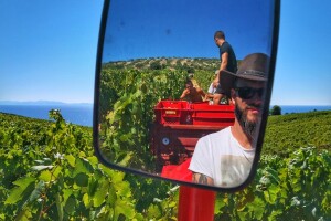 Ivan Batistić Zure: Vizija oca je bila stvoriti temelj da se vratimo na Korčulu - uspio je