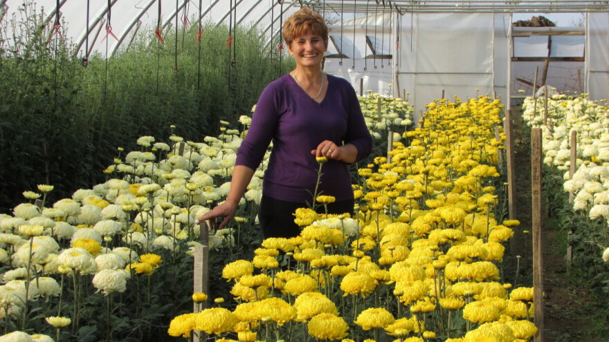 Slada Vidović je uspješna žena preduzetnica - danas joj studenti dolaze na praksu