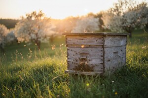 12. Ocjenjivanje i izložba meda Krapinsko-zagorske županije