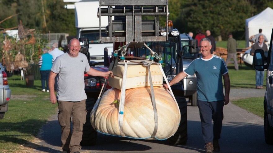 Strah od nestašice hrane podstakao na uzgoj divovskog povrća