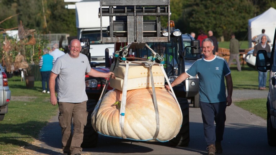 Strah od nestašice hrane potaknuo na uzgoj divovskog povrća: Najteža bundeva 230 kg