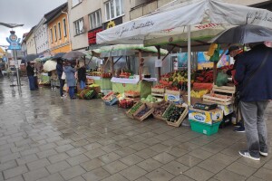 Uprkos lošem vremenu "Zlatna jesen Bugojno" održana - zadovoljni i izlagači i posjetioci