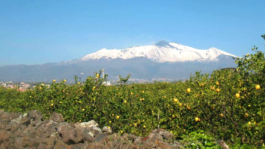 Limun s Etne i Pampepato iz Ternija noviteti na popisu ZOZP-a