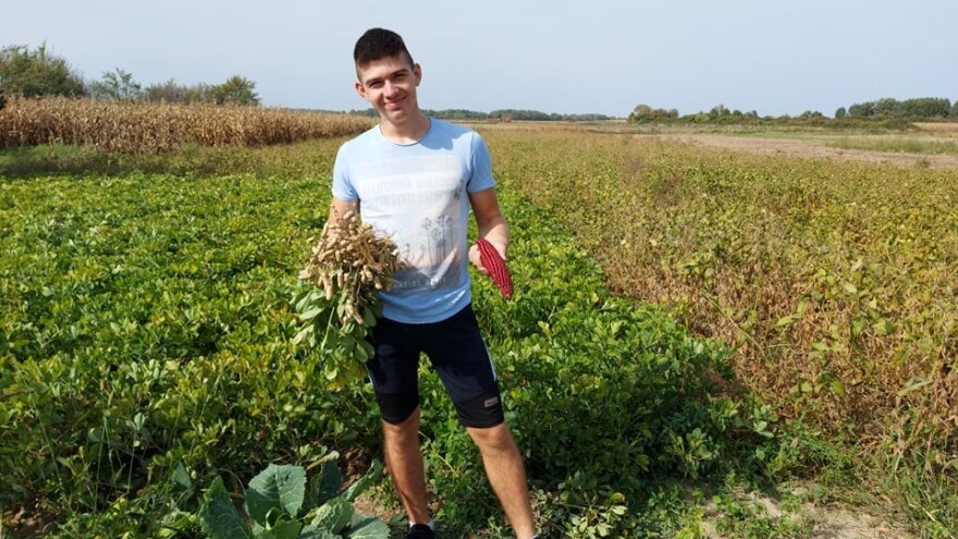 Oktobar - mesec kada Filip Prša vadi kikiriki!